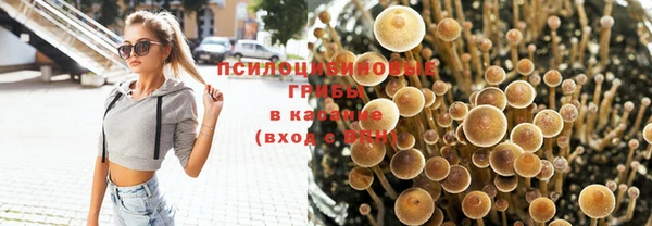 альфа пвп Краснослободск